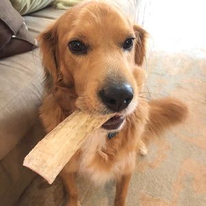 Meet your Posher, Christi